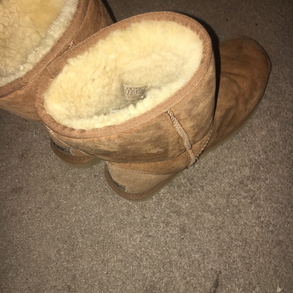 Chestnut short uggs lightly worn - Picture 4 of 4